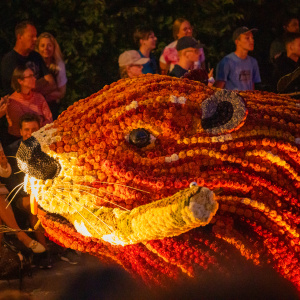 Corso Sint Jansklooster
