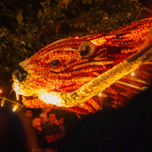 Corso Sint Jansklooster