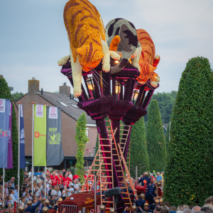 Corso Sint Jansklooster