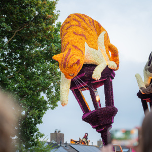 Corso Sint Jansklooster