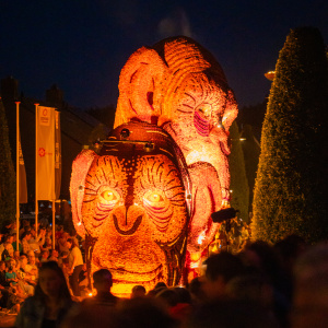 Corso Sint Jansklooster