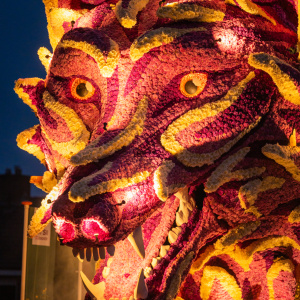 Corso Sint Jansklooster