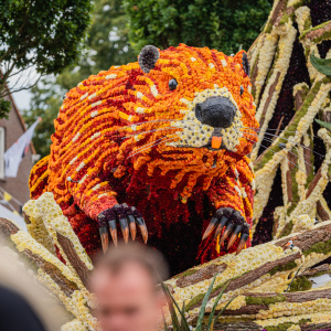 Corso Sint Jansklooster