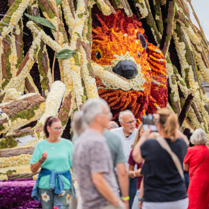 Corso Sint Jansklooster