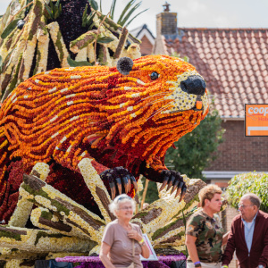 Corso Sint Jansklooster