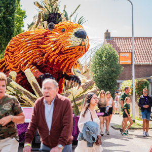 Corso Sint Jansklooster