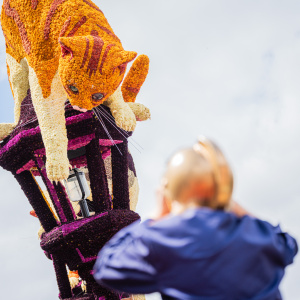 Corso Sint Jansklooster