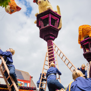 Corso Sint Jansklooster