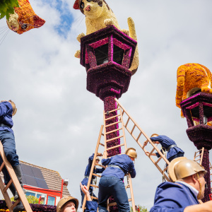 Corso Sint Jansklooster