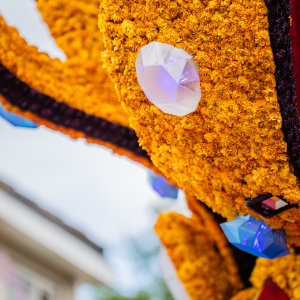 Corso Sint Jansklooster