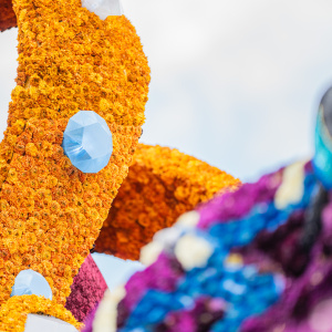 Corso Sint Jansklooster
