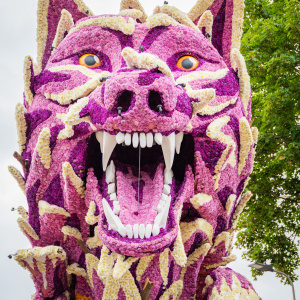 Corso Sint Jansklooster