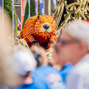 Corso Sint Jansklooster