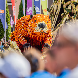 Corso Sint Jansklooster