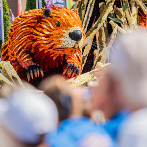 Corso Sint Jansklooster
