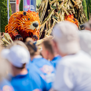 Corso Sint Jansklooster