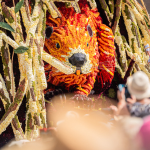 Corso Sint Jansklooster
