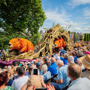 Corso Sint Jansklooster