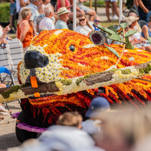 Corso Sint Jansklooster