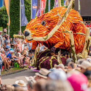 Corso Sint Jansklooster