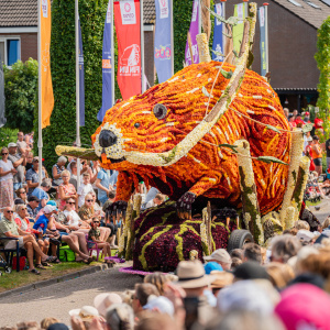 Corso Sint Jansklooster