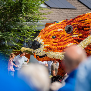 Corso Sint Jansklooster