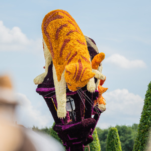 Corso Sint Jansklooster