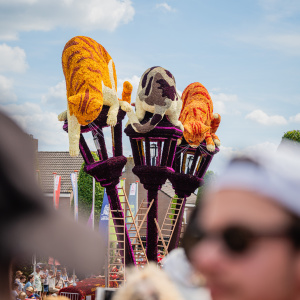 Corso Sint Jansklooster