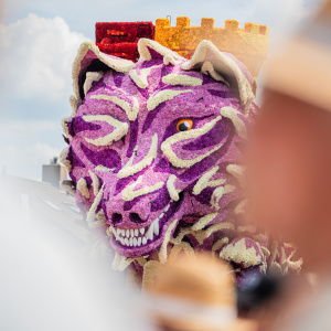 Corso Sint Jansklooster