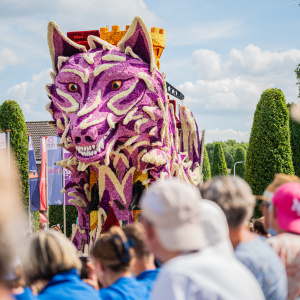 Corso Sint Jansklooster