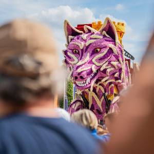 Corso Sint Jansklooster