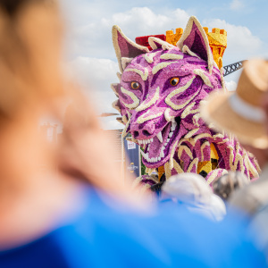 Corso Sint Jansklooster