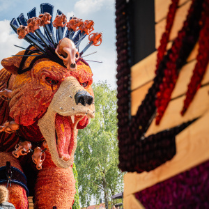 Corso Sint Jansklooster