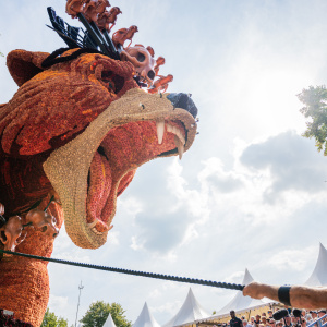 Corso Sint Jansklooster