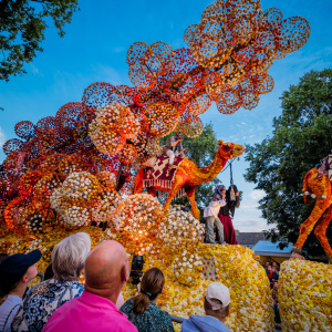 Corso Sint Jansklooster