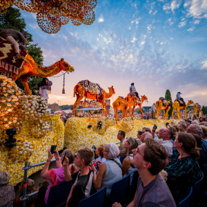 Corso Sint Jansklooster