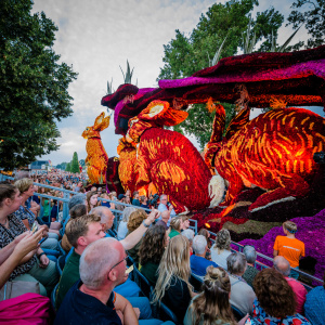 Corso Sint Jansklooster