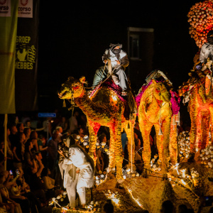 Corso Sint Jansklooster