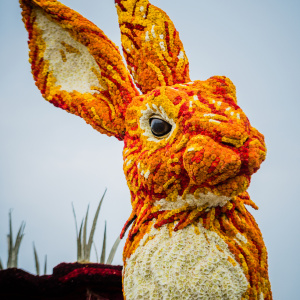 Corso Sint Jansklooster