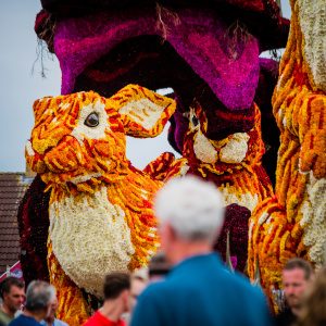 Corso Sint Jansklooster
