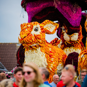 Corso Sint Jansklooster