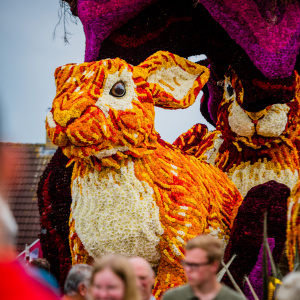 Corso Sint Jansklooster