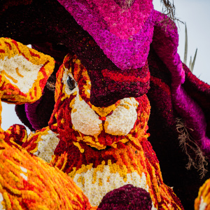 Corso Sint Jansklooster