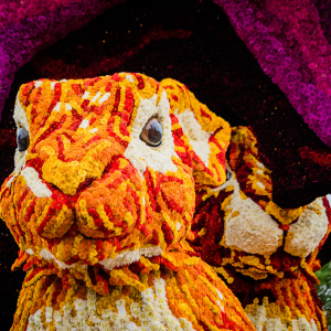 Corso Sint Jansklooster