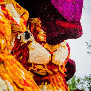 Corso Sint Jansklooster