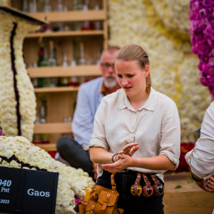 Corso Sint Jansklooster