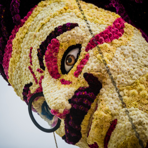 Corso Sint Jansklooster