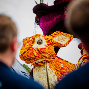 Corso Sint Jansklooster