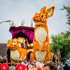 Corso Sint Jansklooster