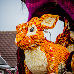 Corso Sint Jansklooster